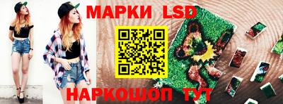 крисы Новозыбков