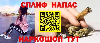 СК Новокубанск
