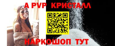 крисы Новозыбков