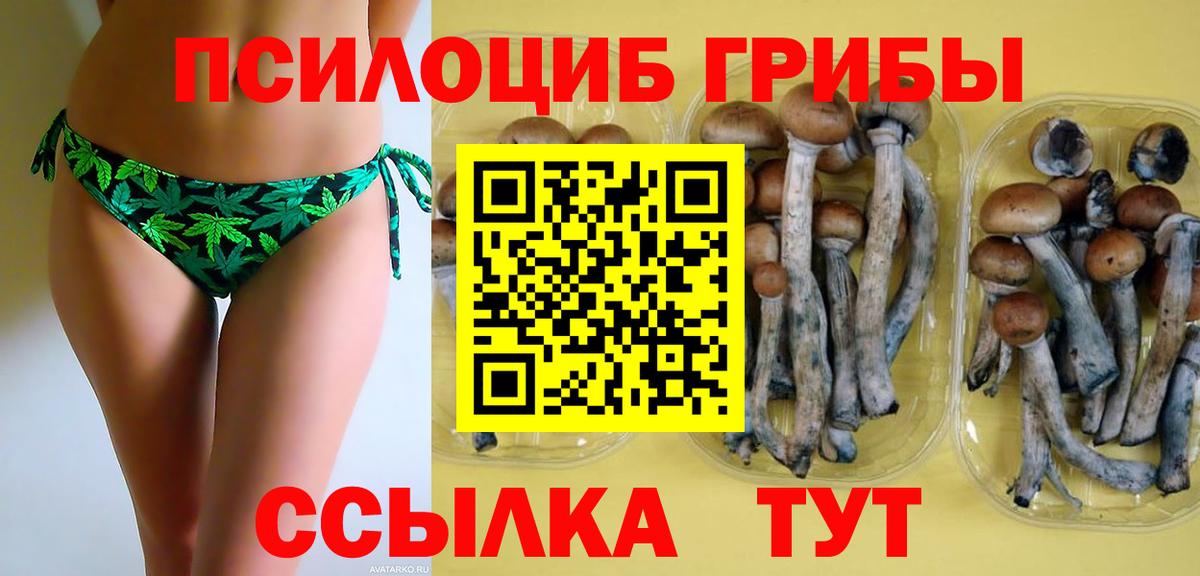 Оренбург  Галлюциногенные грибы Psilocybine cubensis  Галлюциногенные грибы Psilocybine cubensis  Вход с VPN 